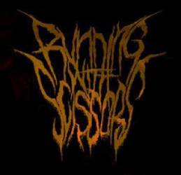 logo Running With Scissors (NL)